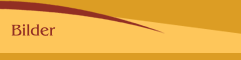 Bilder